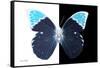 Miss Butterfly Hebomoia - X-Ray B&W Edition-Philippe Hugonnard-Framed Stretched Canvas