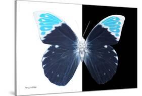 Miss Butterfly Hebomoia - X-Ray B&W Edition-Philippe Hugonnard-Stretched Canvas
