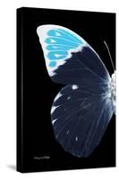 Miss Butterfly Hebomoia - X-Ray Left Black Edition-Philippe Hugonnard-Stretched Canvas