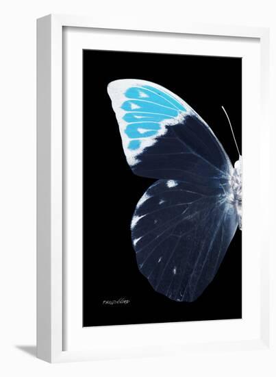 Miss Butterfly Hebomoia - X-Ray Left Black Edition-Philippe Hugonnard-Framed Photographic Print