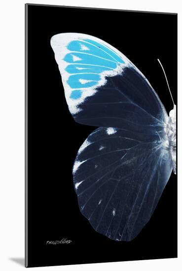 Miss Butterfly Hebomoia - X-Ray Left Black Edition-Philippe Hugonnard-Mounted Photographic Print