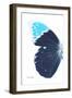 Miss Butterfly Hebomoia - X-Ray Left White Edition-Philippe Hugonnard-Framed Photographic Print