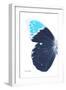 Miss Butterfly Hebomoia - X-Ray Left White Edition-Philippe Hugonnard-Framed Photographic Print