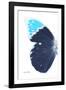 Miss Butterfly Hebomoia - X-Ray Left White Edition-Philippe Hugonnard-Framed Photographic Print