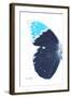 Miss Butterfly Hebomoia - X-Ray Left White Edition-Philippe Hugonnard-Framed Photographic Print