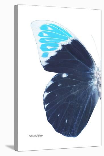 Miss Butterfly Hebomoia - X-Ray Left White Edition-Philippe Hugonnard-Stretched Canvas