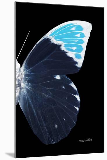 Miss Butterfly Hebomoia - X-Ray Right Black Edition-Philippe Hugonnard-Mounted Premium Photographic Print