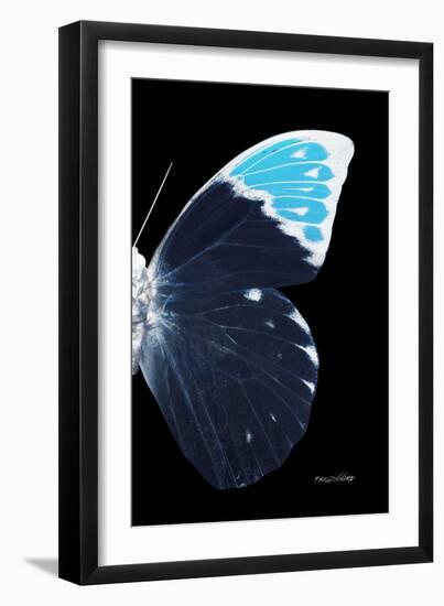 Miss Butterfly Hebomoia - X-Ray Right Black Edition-Philippe Hugonnard-Framed Photographic Print