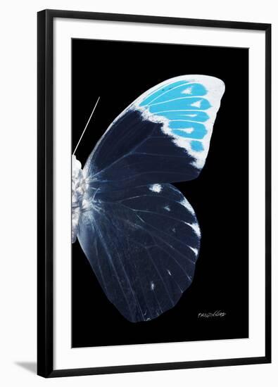 Miss Butterfly Hebomoia - X-Ray Right Black Edition-Philippe Hugonnard-Framed Photographic Print