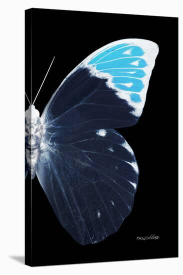 Miss Butterfly Hebomoia - X-Ray Right Black Edition-Philippe Hugonnard-Stretched Canvas