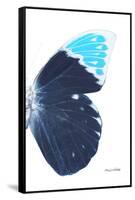 Miss Butterfly Hebomoia - X-Ray Right White Edition-Philippe Hugonnard-Framed Stretched Canvas