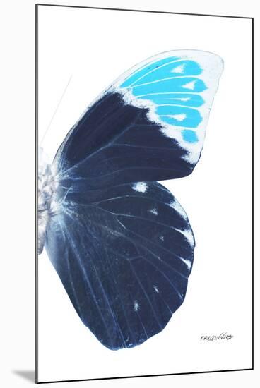 Miss Butterfly Hebomoia - X-Ray Right White Edition-Philippe Hugonnard-Mounted Premium Photographic Print