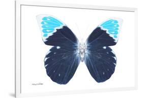 Miss Butterfly Hebomoia - X-Ray White Edition-Philippe Hugonnard-Framed Photographic Print