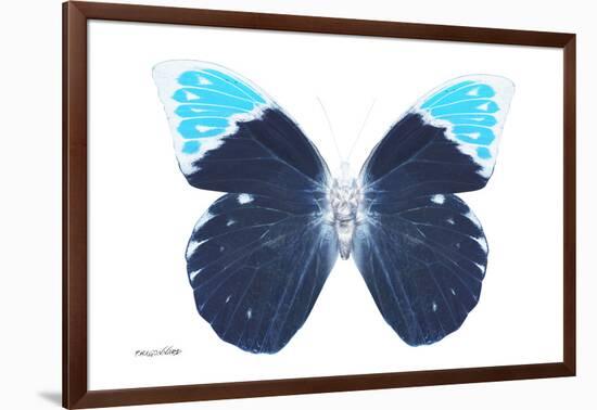 Miss Butterfly Hebomoia - X-Ray White Edition-Philippe Hugonnard-Framed Photographic Print