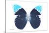 Miss Butterfly Hebomoia - X-Ray White Edition-Philippe Hugonnard-Stretched Canvas