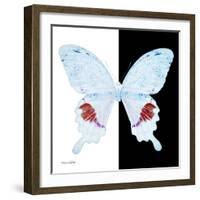 Miss Butterfly Hermosanus Sq - X-Ray B&W Edition-Philippe Hugonnard-Framed Photographic Print