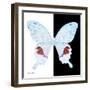 Miss Butterfly Hermosanus Sq - X-Ray B&W Edition-Philippe Hugonnard-Framed Photographic Print