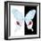 Miss Butterfly Hermosanus Sq - X-Ray B&W Edition-Philippe Hugonnard-Framed Photographic Print