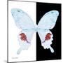 Miss Butterfly Hermosanus Sq - X-Ray B&W Edition-Philippe Hugonnard-Mounted Photographic Print