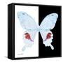 Miss Butterfly Hermosanus Sq - X-Ray B&W Edition-Philippe Hugonnard-Framed Stretched Canvas