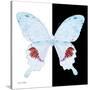 Miss Butterfly Hermosanus Sq - X-Ray B&W Edition-Philippe Hugonnard-Stretched Canvas