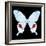 Miss Butterfly Hermosanus Sq - X-Ray Black Edition-Philippe Hugonnard-Framed Photographic Print