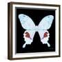 Miss Butterfly Hermosanus Sq - X-Ray Black Edition-Philippe Hugonnard-Framed Photographic Print
