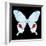 Miss Butterfly Hermosanus Sq - X-Ray Black Edition-Philippe Hugonnard-Framed Photographic Print