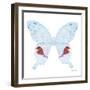 Miss Butterfly Hermosanus Sq - X-Ray White Edition-Philippe Hugonnard-Framed Photographic Print