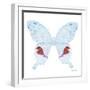 Miss Butterfly Hermosanus Sq - X-Ray White Edition-Philippe Hugonnard-Framed Photographic Print