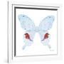 Miss Butterfly Hermosanus Sq - X-Ray White Edition-Philippe Hugonnard-Framed Photographic Print