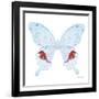 Miss Butterfly Hermosanus Sq - X-Ray White Edition-Philippe Hugonnard-Framed Photographic Print