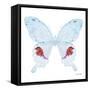 Miss Butterfly Hermosanus Sq - X-Ray White Edition-Philippe Hugonnard-Framed Stretched Canvas