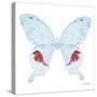 Miss Butterfly Hermosanus Sq - X-Ray White Edition-Philippe Hugonnard-Stretched Canvas