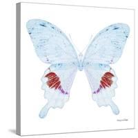 Miss Butterfly Hermosanus Sq - X-Ray White Edition-Philippe Hugonnard-Stretched Canvas