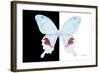 Miss Butterfly Hermosanus - X-Ray B&W Edition-Philippe Hugonnard-Framed Photographic Print