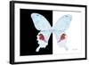 Miss Butterfly Hermosanus - X-Ray B&W Edition-Philippe Hugonnard-Framed Photographic Print