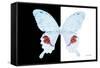 Miss Butterfly Hermosanus - X-Ray B&W Edition-Philippe Hugonnard-Framed Stretched Canvas