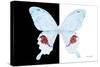 Miss Butterfly Hermosanus - X-Ray B&W Edition-Philippe Hugonnard-Stretched Canvas