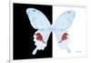 Miss Butterfly Hermosanus - X-Ray B&W Edition-Philippe Hugonnard-Framed Photographic Print