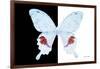 Miss Butterfly Hermosanus - X-Ray B&W Edition-Philippe Hugonnard-Framed Photographic Print