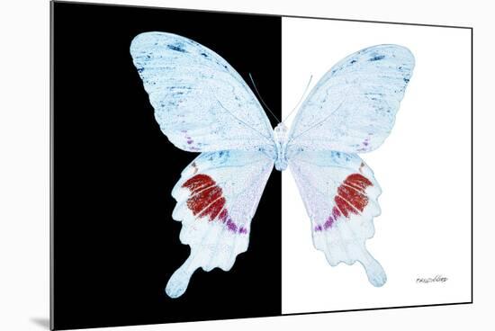 Miss Butterfly Hermosanus - X-Ray B&W Edition-Philippe Hugonnard-Mounted Photographic Print