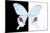 Miss Butterfly Hermosanus - X-Ray B&W Edition-Philippe Hugonnard-Mounted Photographic Print