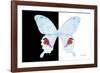 Miss Butterfly Hermosanus - X-Ray B&W Edition-Philippe Hugonnard-Framed Photographic Print