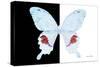 Miss Butterfly Hermosanus - X-Ray B&W Edition-Philippe Hugonnard-Stretched Canvas