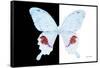 Miss Butterfly Hermosanus - X-Ray B&W Edition-Philippe Hugonnard-Framed Stretched Canvas