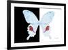 Miss Butterfly Hermosanus - X-Ray B&W Edition-Philippe Hugonnard-Framed Photographic Print