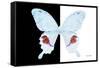 Miss Butterfly Hermosanus - X-Ray B&W Edition-Philippe Hugonnard-Framed Stretched Canvas