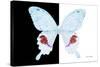 Miss Butterfly Hermosanus - X-Ray B&W Edition-Philippe Hugonnard-Stretched Canvas