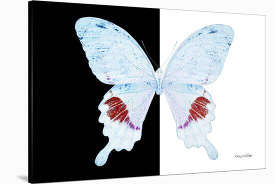Miss Butterfly Hermosanus - X-Ray B&W Edition-Philippe Hugonnard-Stretched Canvas